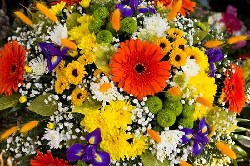 Fleuriste mariage Wattwiller
